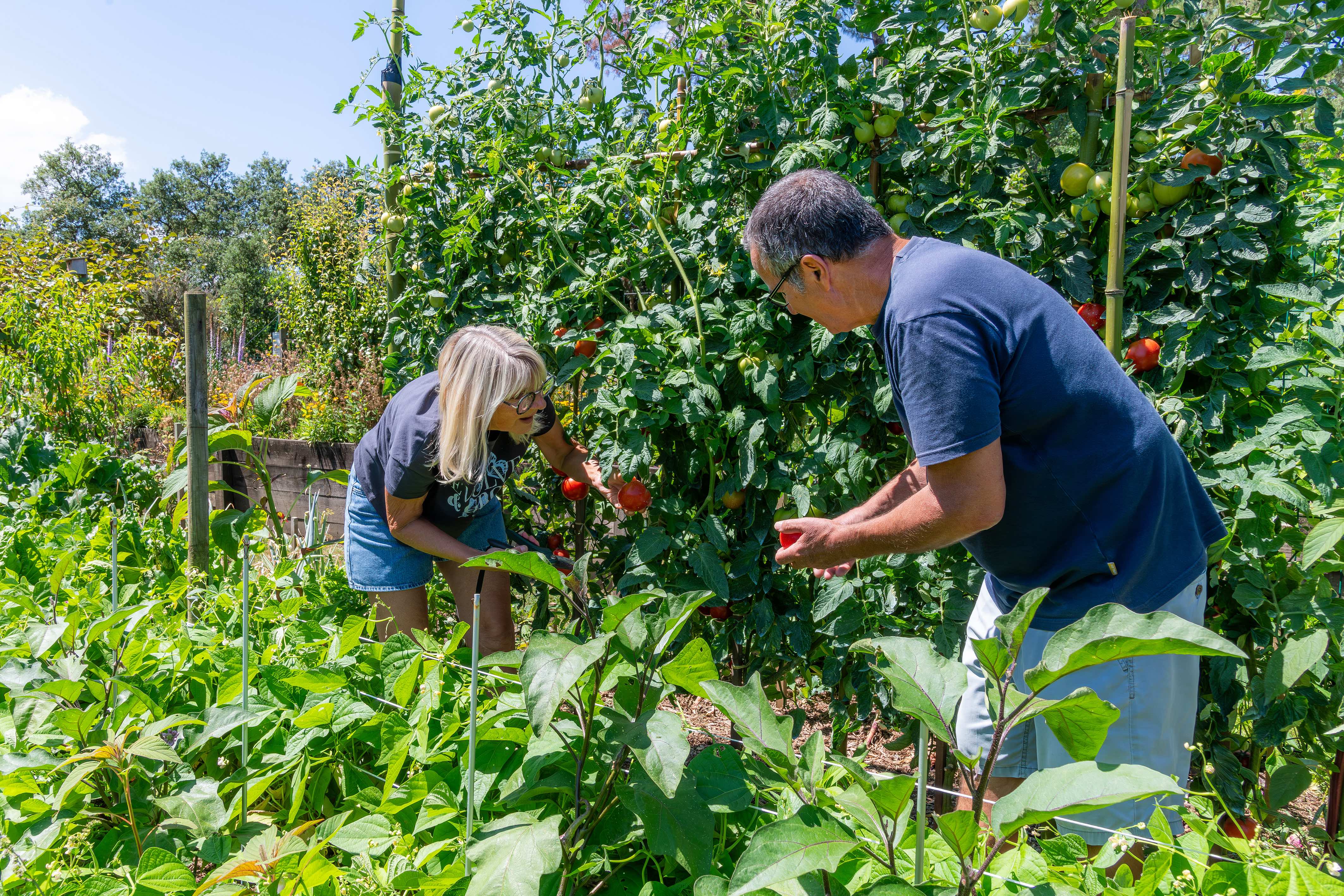 Jardins Partages Pissot